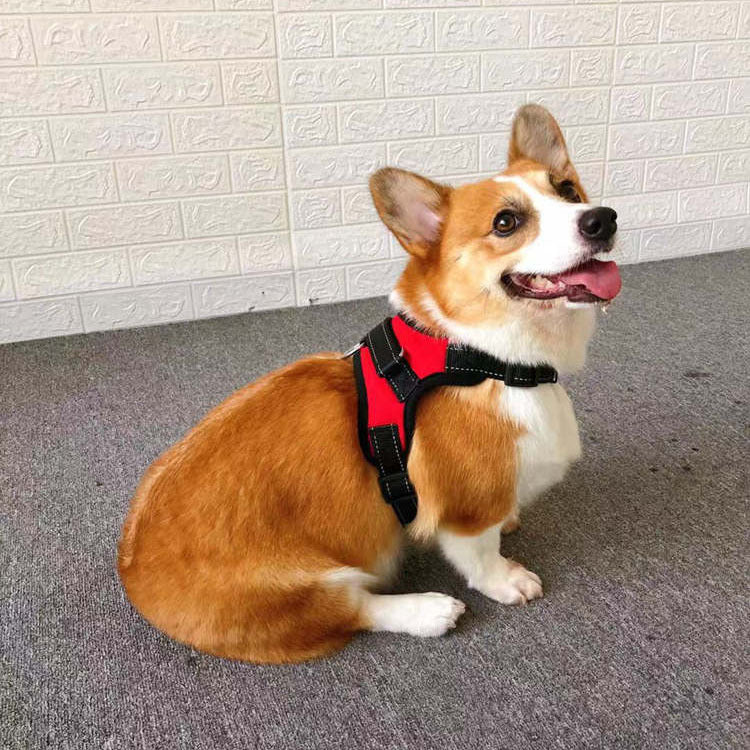 Dog Vest with Built-In Harness