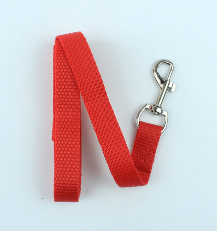 Dog Leash