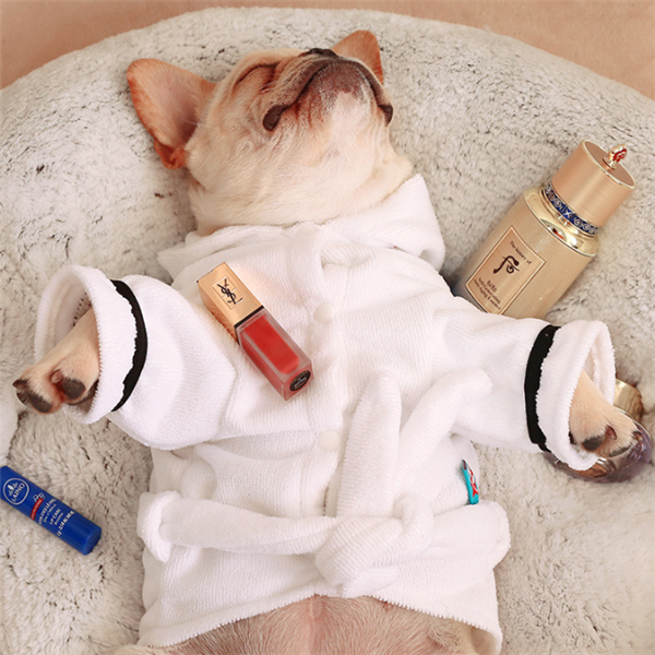 Hooded Bathrobe Pajamas for Dogs