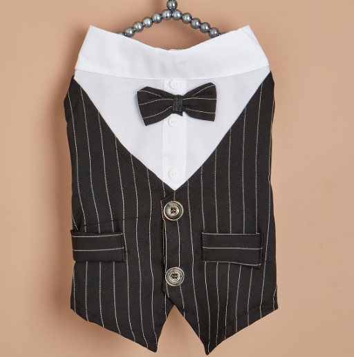Fashionable Dog Shirt Suit