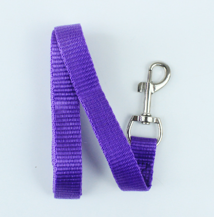 Dog Leash