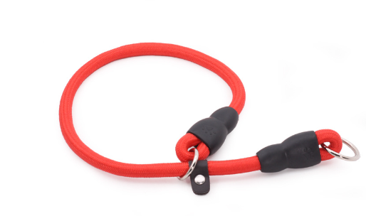Durable Nylon Training Collar for Dogs