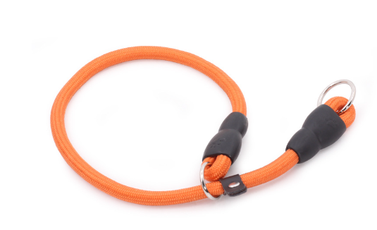 Durable Nylon Training Collar for Dogs