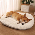 Comfortable Sleeping Floor Mat for Dogs