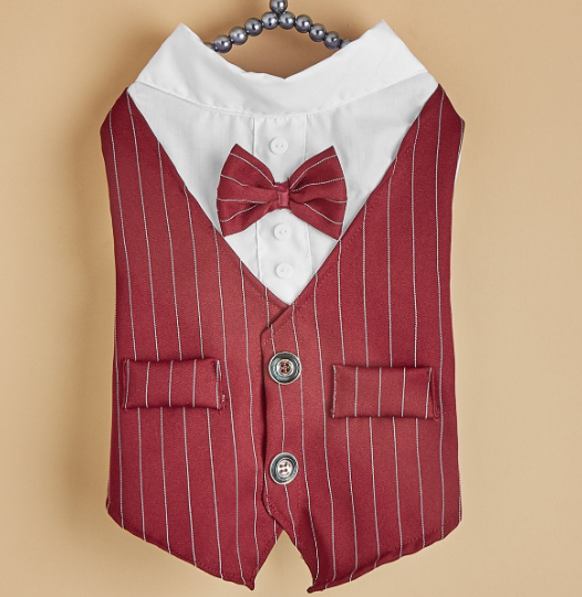 Fashionable Dog Shirt Suit