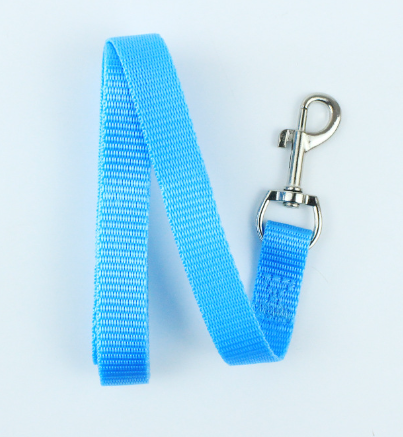 Dog Leash