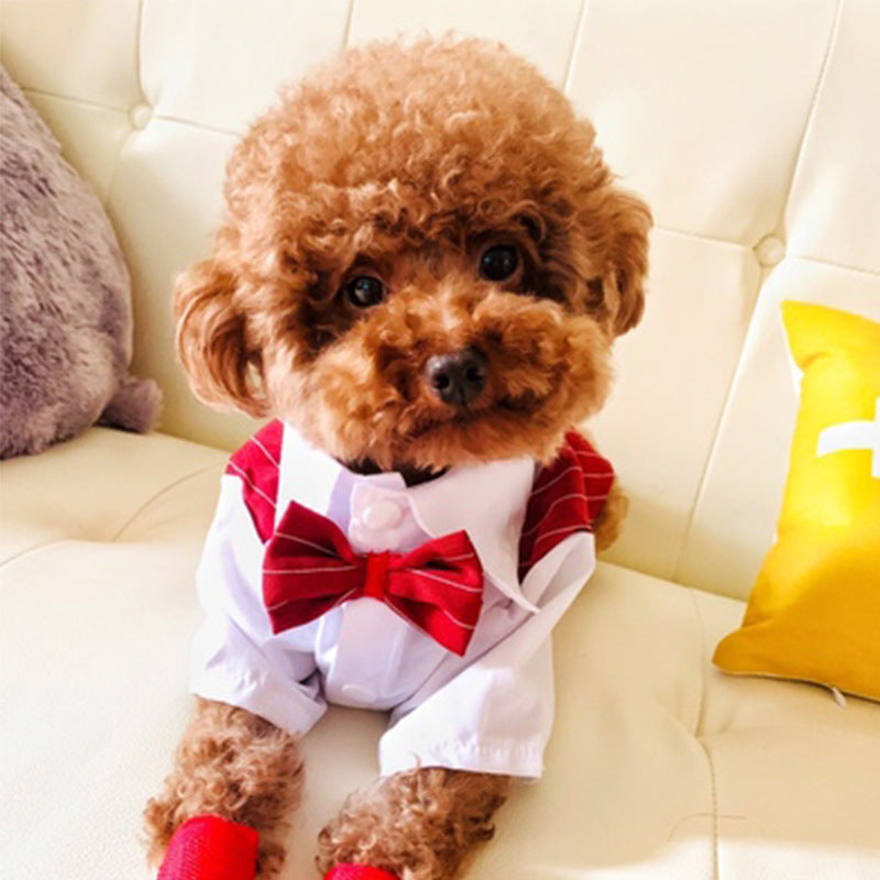 Fashionable Dog Shirt Suit