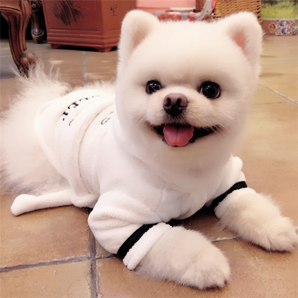 Hooded Bathrobe Pajamas for Dogs
