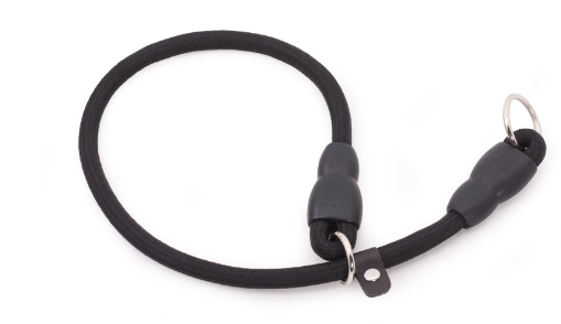 Durable Nylon Training Collar for Dogs