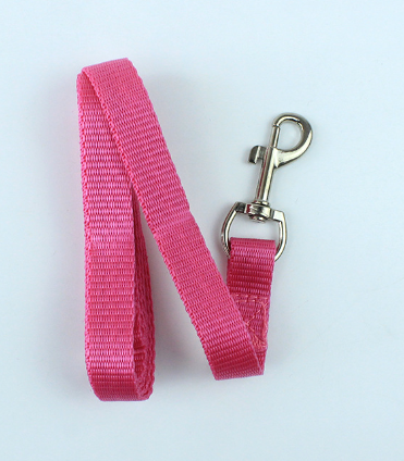 Dog Leash