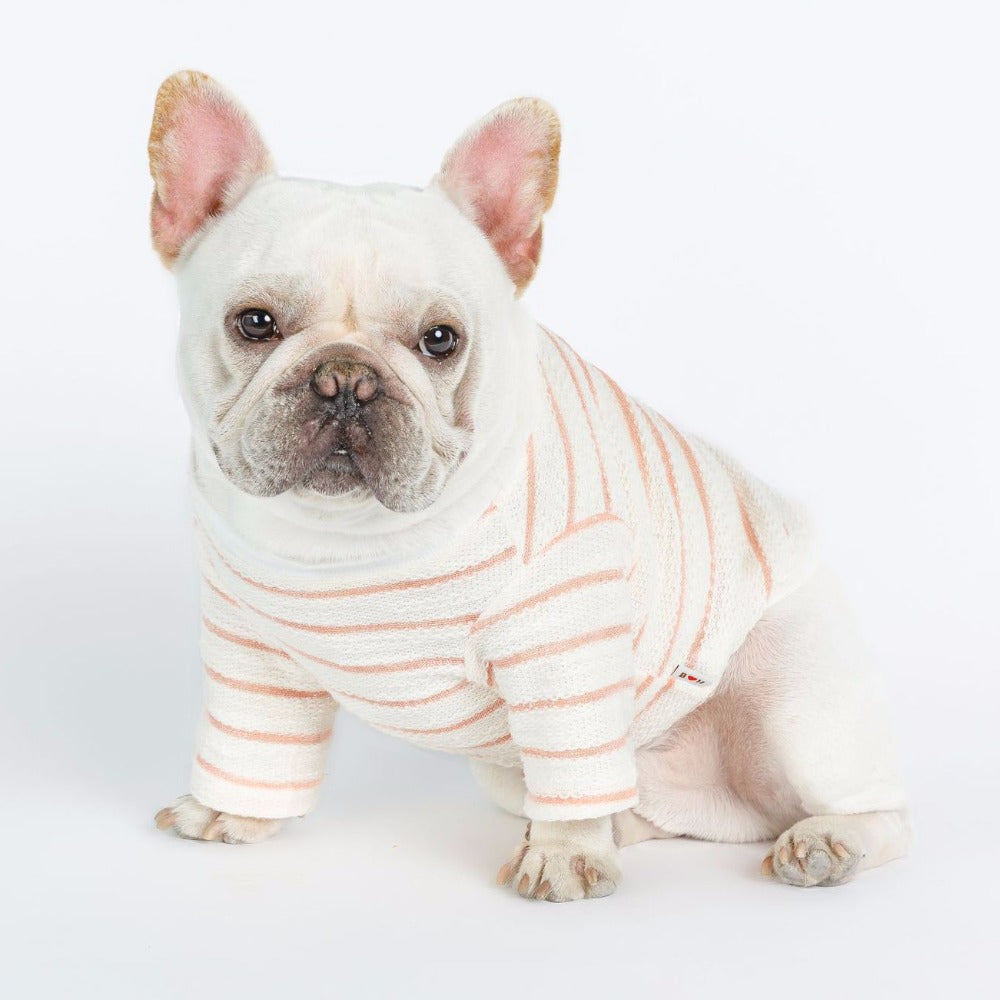 Embroidered T-Shirt for Small Dogs