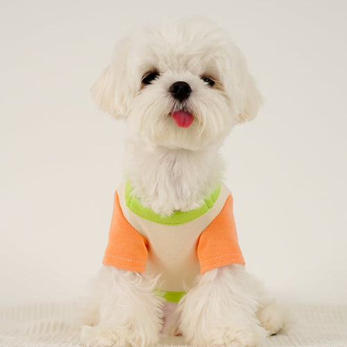Color Block Home Shirt for Dogs