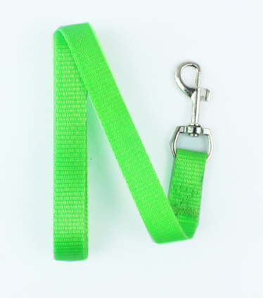 Dog Leash