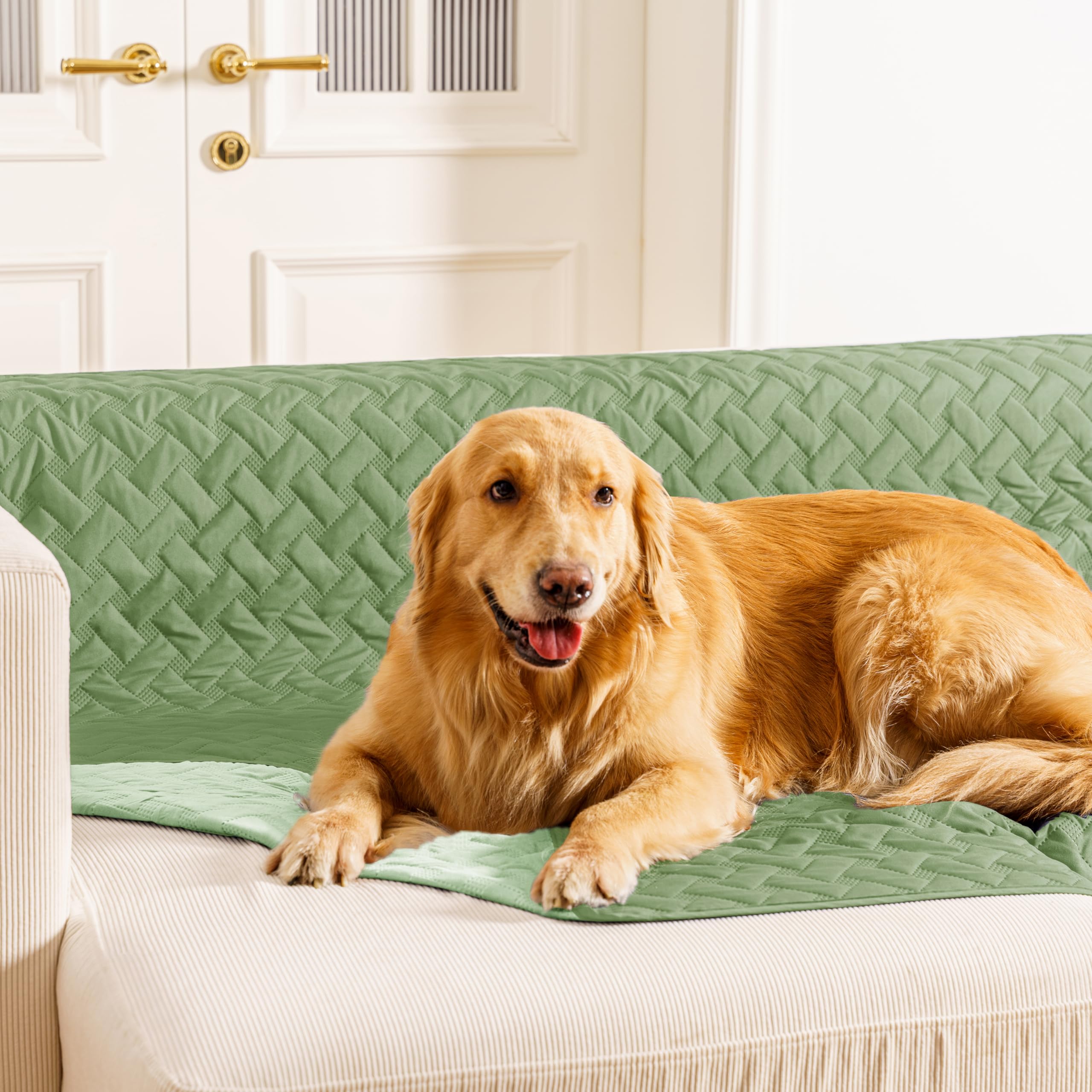 Reversible Waterproof Furniture Dog Blanket