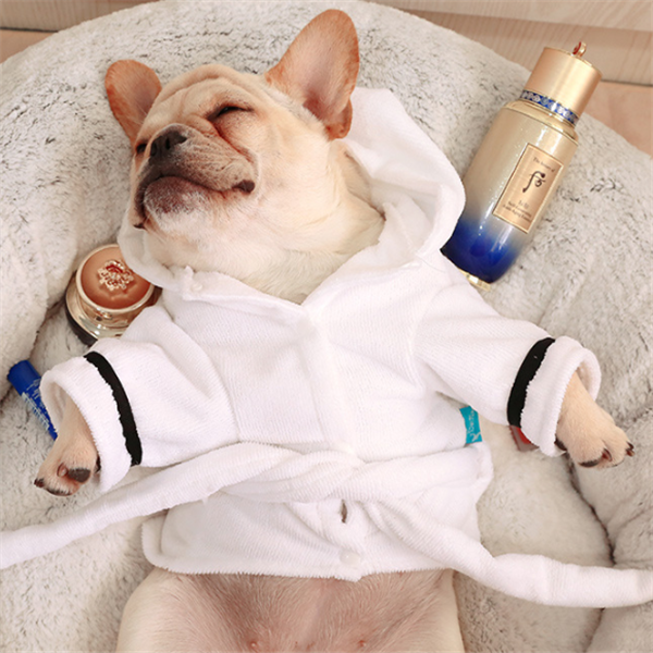 Hooded Bathrobe Pajamas for Dogs