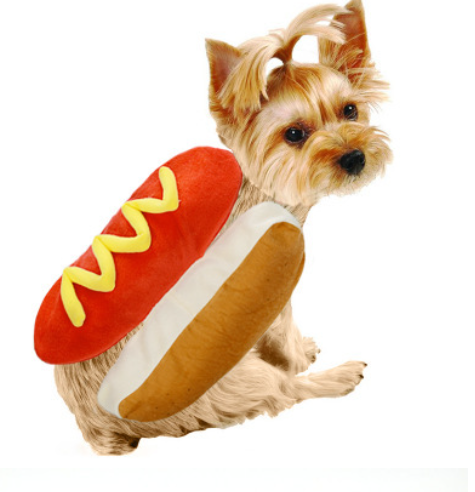 Hot Dog and Burger Costume for Dogs