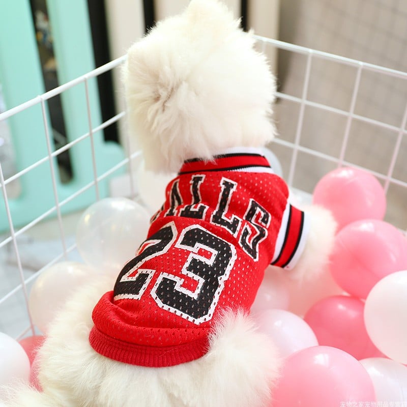 Breathable Summer Vest for Small Dogs
