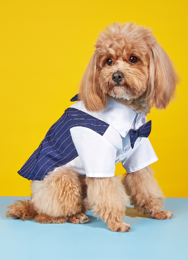 Fashionable Dog Shirt Suit