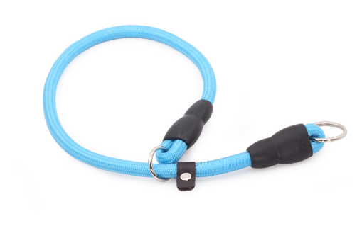 Durable Nylon Training Collar for Dogs