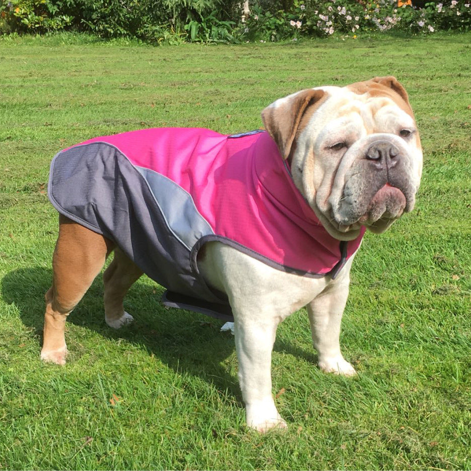 Waterproof Insulated Raincoat Jacket for Dogs