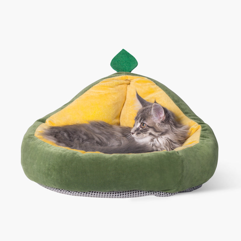 Removable Mat Bed for Small Dogs