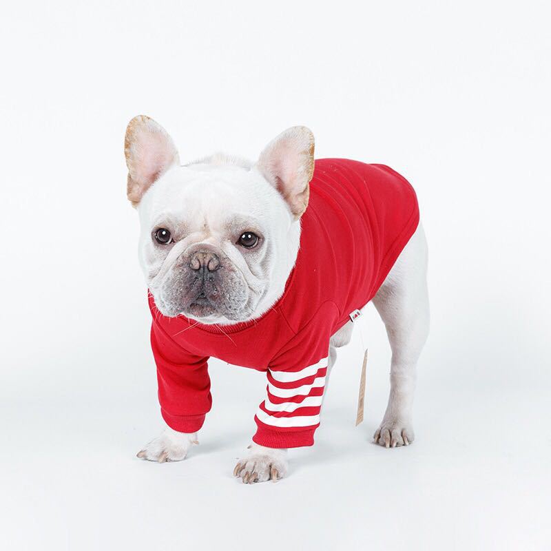 Spring and Autumn Hoodies for Small Dogs